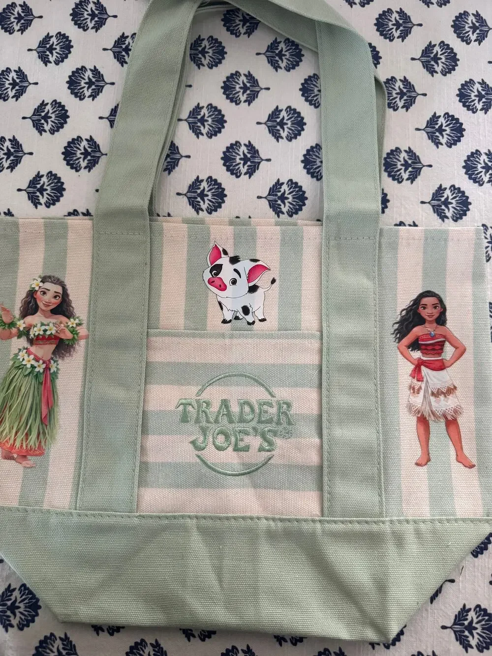 Disney Moana and Pua Striped Custom Made Trader Joes Mini Tote